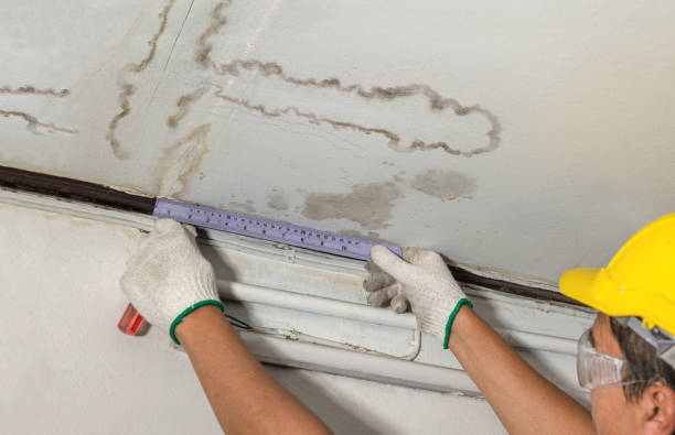 Reliable Water Damage contractor in Higginsville, MO by Water Damage Irwin